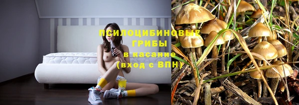 прущие крисы Богородицк