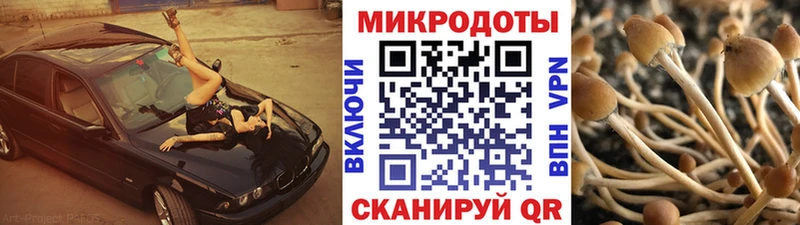 Псилоцибиновые грибы Psilocybine cubensis  Купить  Верхотурье 